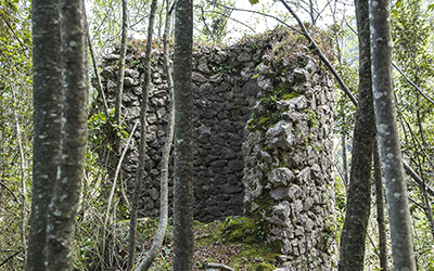 ruderi la torre