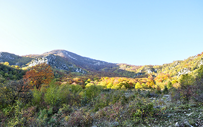 Fonte Pisciarello - Santa Serena 