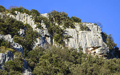FREE CLIMBING