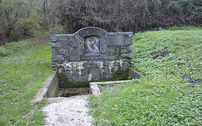 fontana faggi