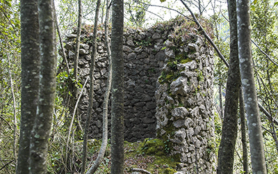la torre 2