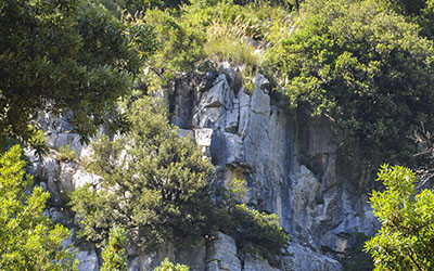 pareti di arrampicata