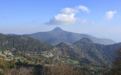 monte acuto