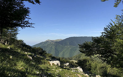 sentiero