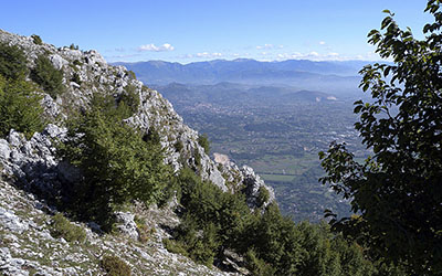 panorama