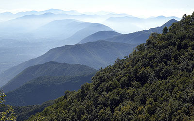 veduta