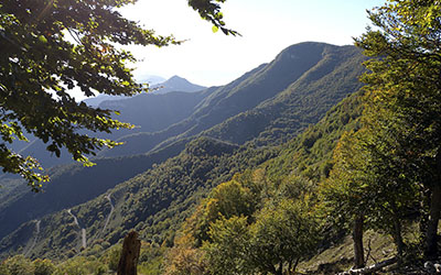 panorama